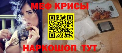 гашик Будённовск