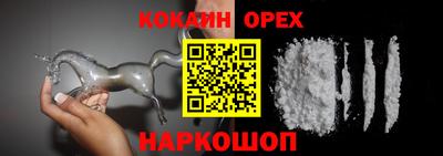 гашик Будённовск