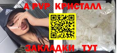 гашик Будённовск