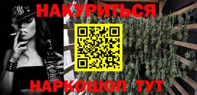 гашик Будённовск