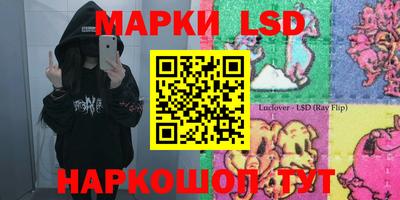 гашик Будённовск
