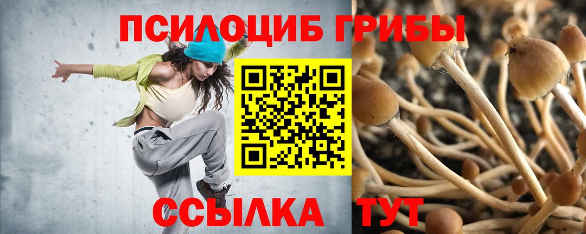 Тихорецк  Галлюциногенные грибы MAGIC MUSHROOMS  Галлюциногенные грибы Psilocybine cubensis  Вход с VPN 